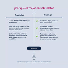Methyl Folate Support • Metilfolato • Magnafolato