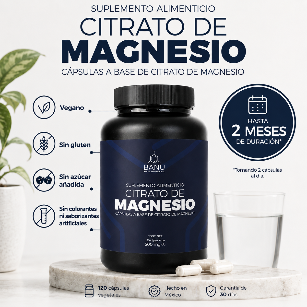 Citrato de Magnesio Vegano 120 Cápsulas 2 Meses