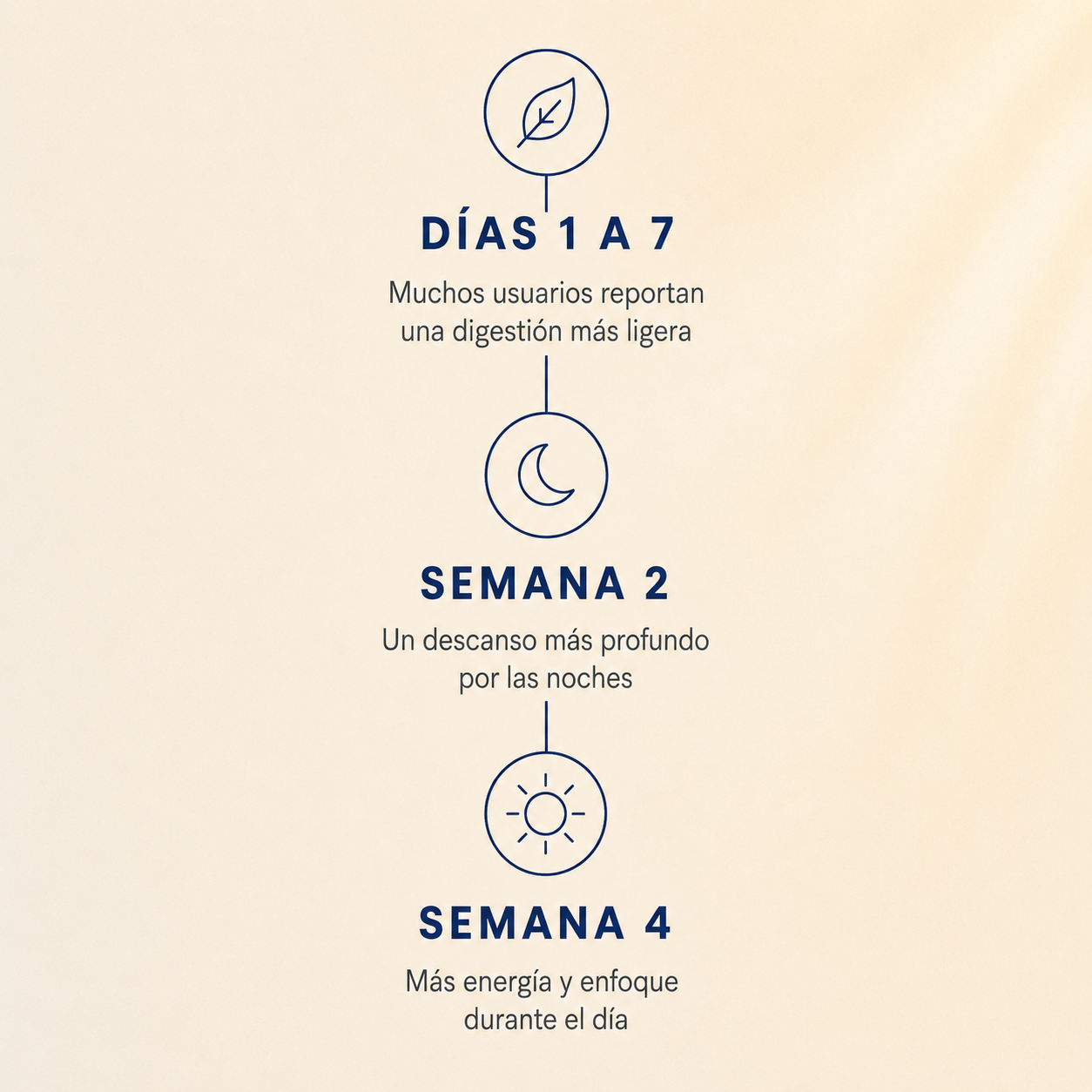 Citrato de Magnesio Vegano 120 Cápsulas 2 Meses - foto 6