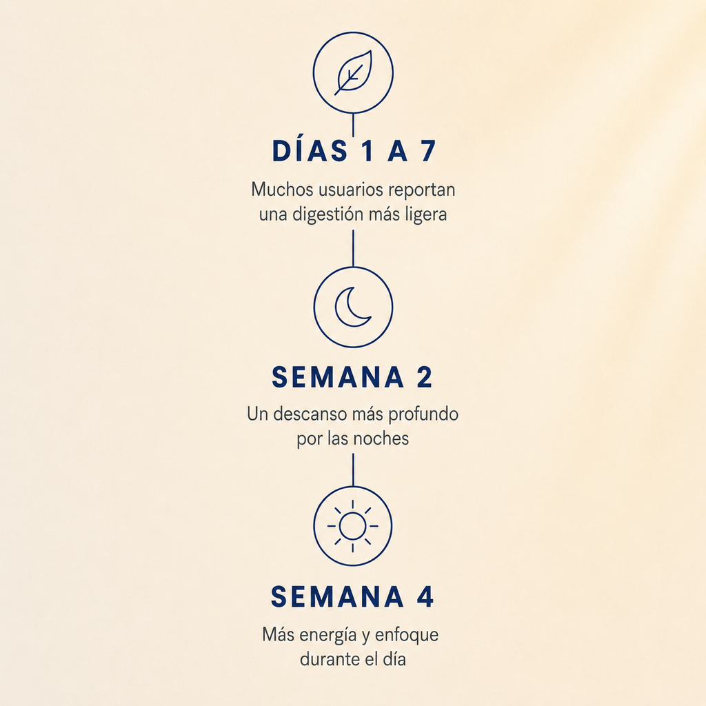 Citrato de Magnesio Vegano 120 Cápsulas 2 Meses - foto 6