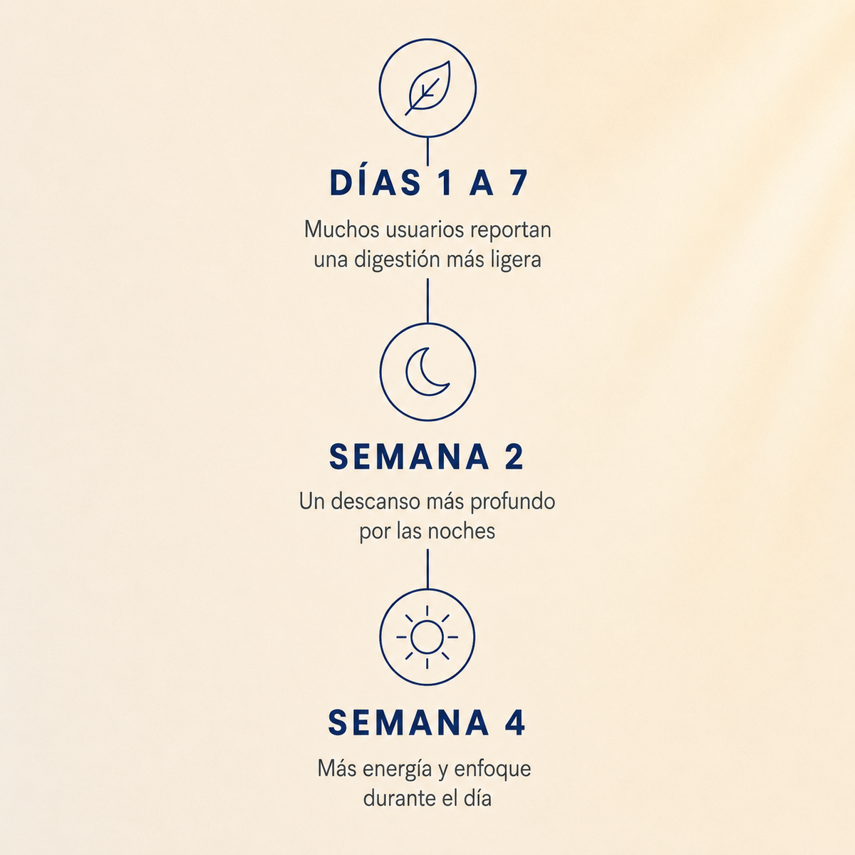 Citrato de Magnesio Vegano 120 Cápsulas 2 Meses - foto 6