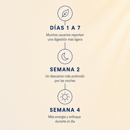 Citrato de Magnesio Vegano 120 Cápsulas 2 Meses - foto 6