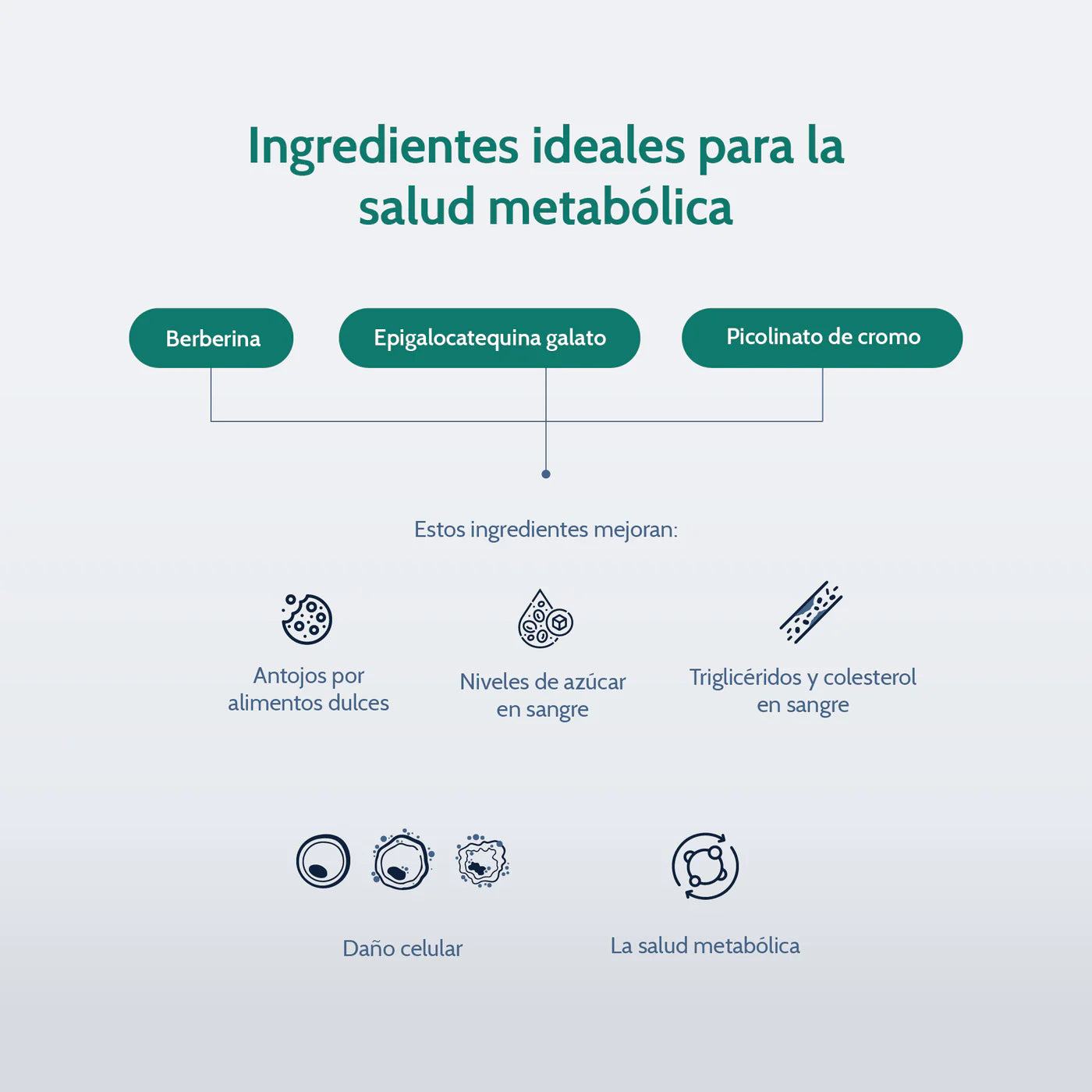 Metabolic Support • Berberina • 60 Cásulas • nutriADN
