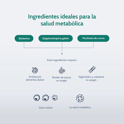 Metabolic Support • Berberina • 60 Cásulas • nutriADN