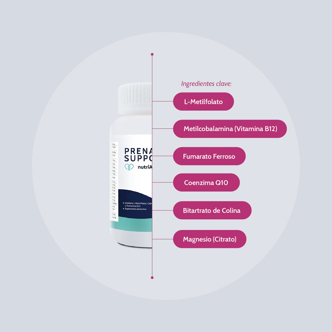 Prenatal Support Multivitamínico 90 Cápsulas nutriADN - foto 3